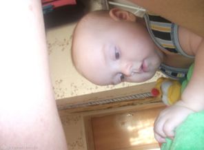 DSCF4551