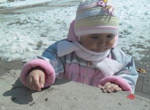 Божья коровка