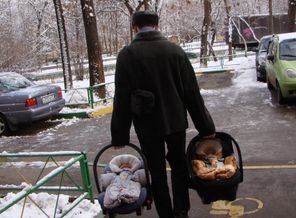 папа