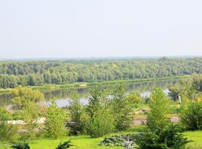 IMG_8439