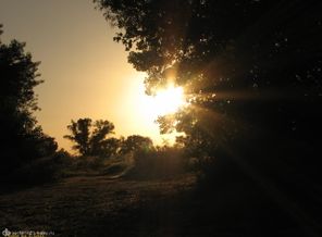 IMG_0305
