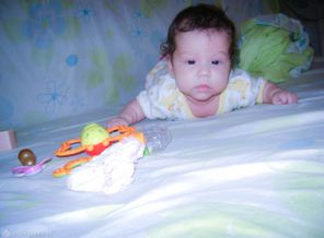 DSC00395