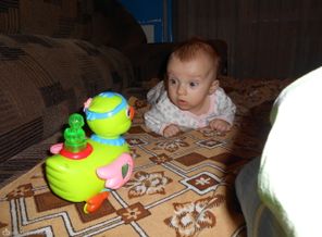 DSCN0595