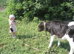 Весело и радостно мне с тобой, бычок! Улыбнись, пожалуйста, буду делать- ЩЕЛК!