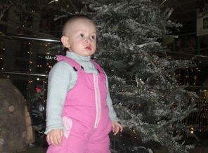 SAM_1443