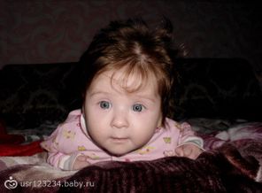 лохматый львёнок