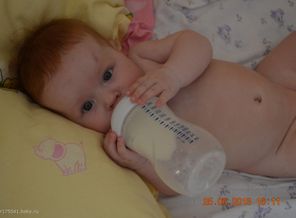 DSC_0012 (2)