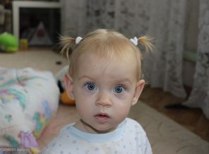 IMG_0603