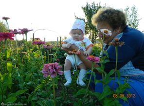 у бабули на огороде