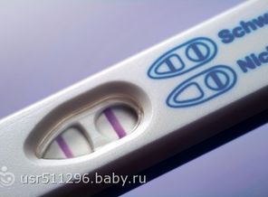 pregnancy-test
