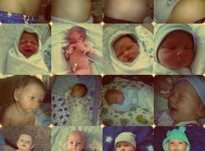 collage (5)