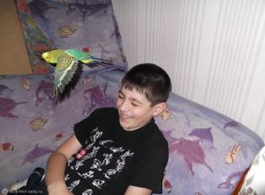 орел