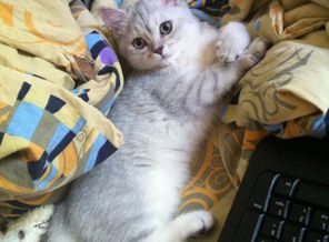 Наш маленький звереныш)привыкает к нам)