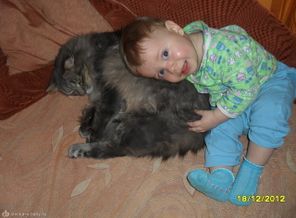 пушистая подушечка для Тимки