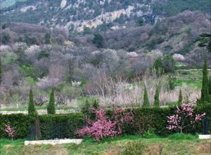 IMG_9215@