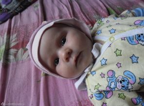 SAM_0549