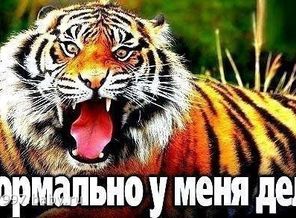 hEYxRn4reb0