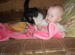 подозрительная киса=)