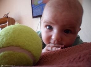 SAM_0350