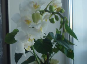 DSC03299