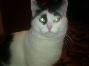 IMAG0034