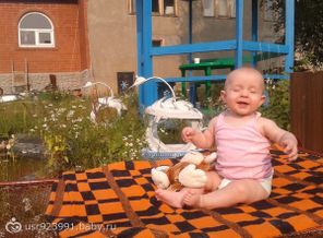 6мес