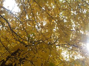 20130927_110348