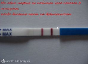 Тестик