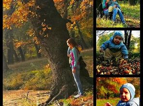 getImage (5)