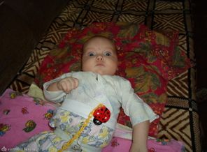 SAM_1481