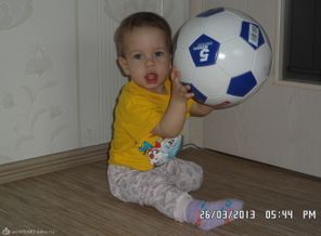 SAM_3788