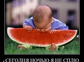 x_b9542848