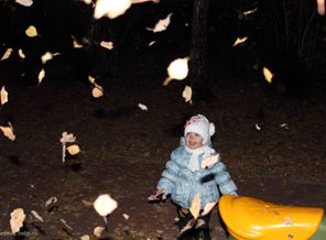осенний листопад