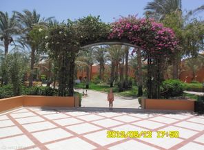 SAM_0023