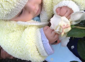 Первое знакомство с розой