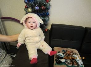 IMG_1790