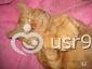 picture-26643