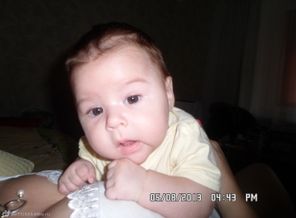 SAM_0719