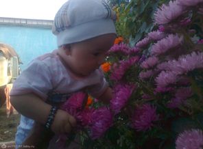 наш отривинчик в саду..