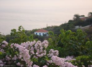 DSC02459