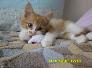 SAM_0204