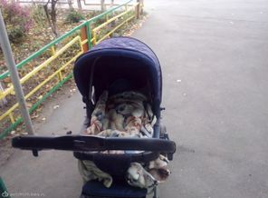 около подъезда
