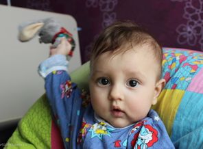 как дам зайцем по голове