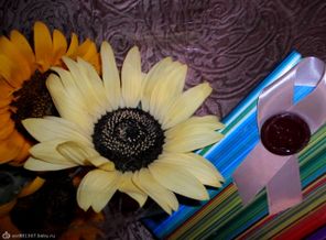 SAM_1386
