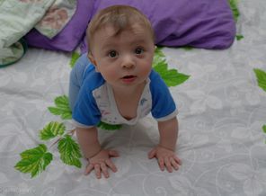 SAM_3532