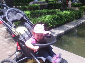 picture364