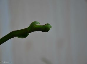 DSC_0031