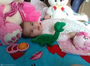 CAM00455
