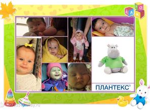 Василиса Антоновна. 6 месяцев в картинках!