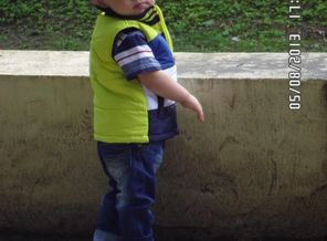 SAM_0351